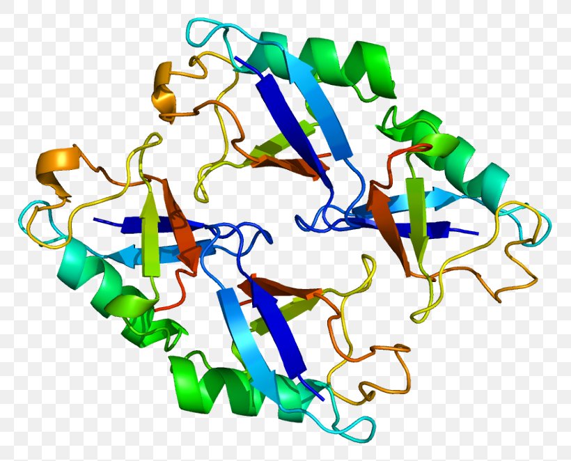 NEDD8 Cullin Protein NUB1 Neddylation, PNG, 817x662px, Watercolor, Cartoon, Flower, Frame, Heart Download Free