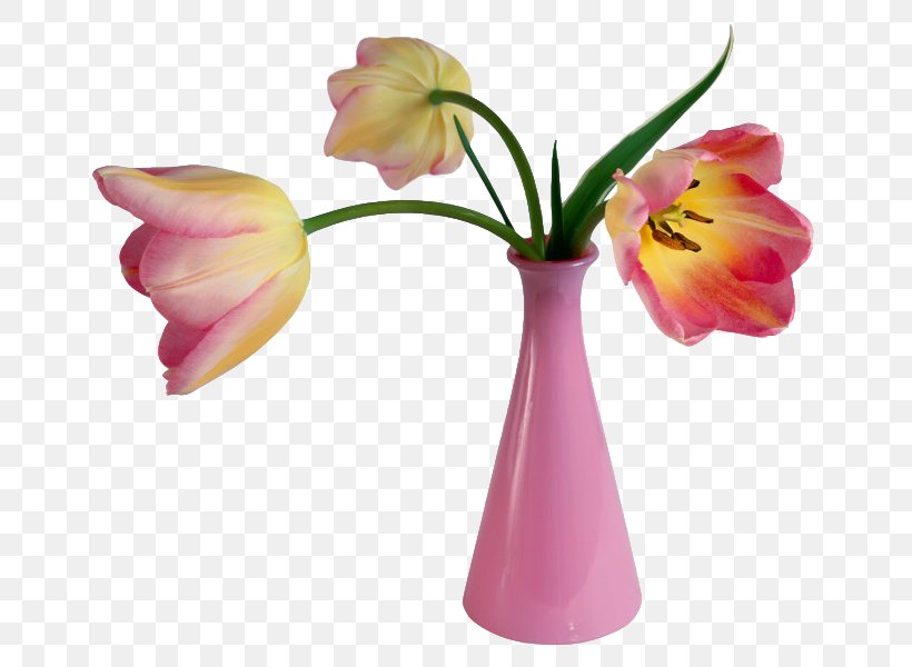 Valentines Day Flower Bouquet Vase Clip Art, PNG, 800x600px, Valentines