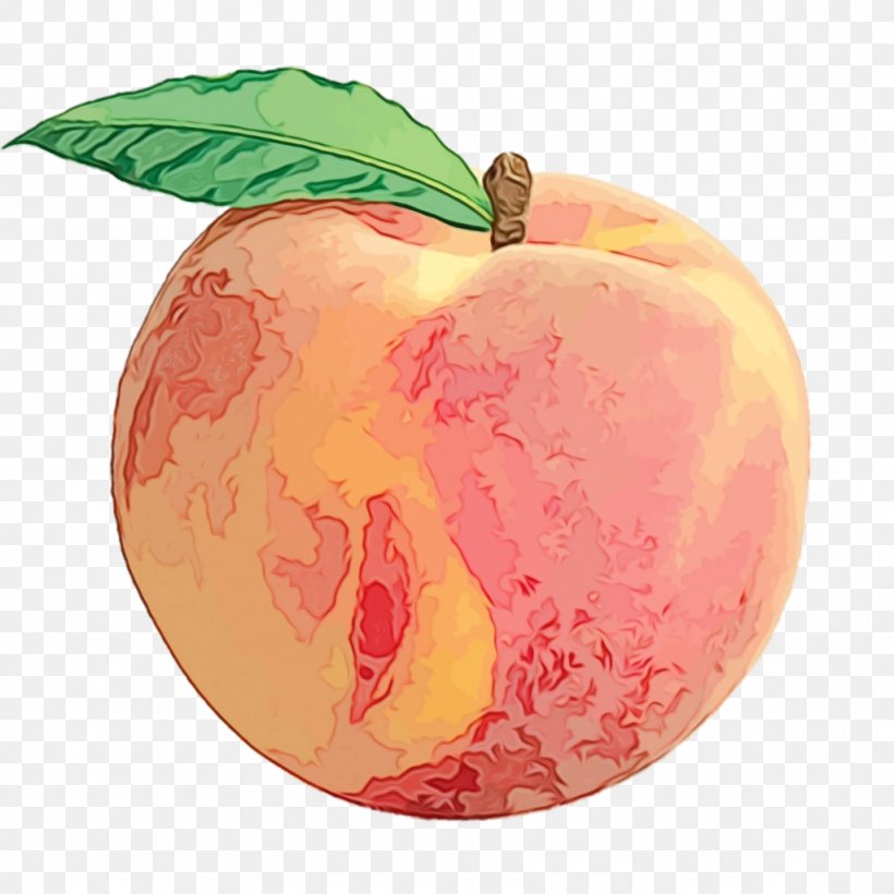 Apple Fruit Clip Art Juice Peach, PNG, 1024x1024px, Apple, Accessory Fruit, Apple Juice, Apricot, Banana Download Free