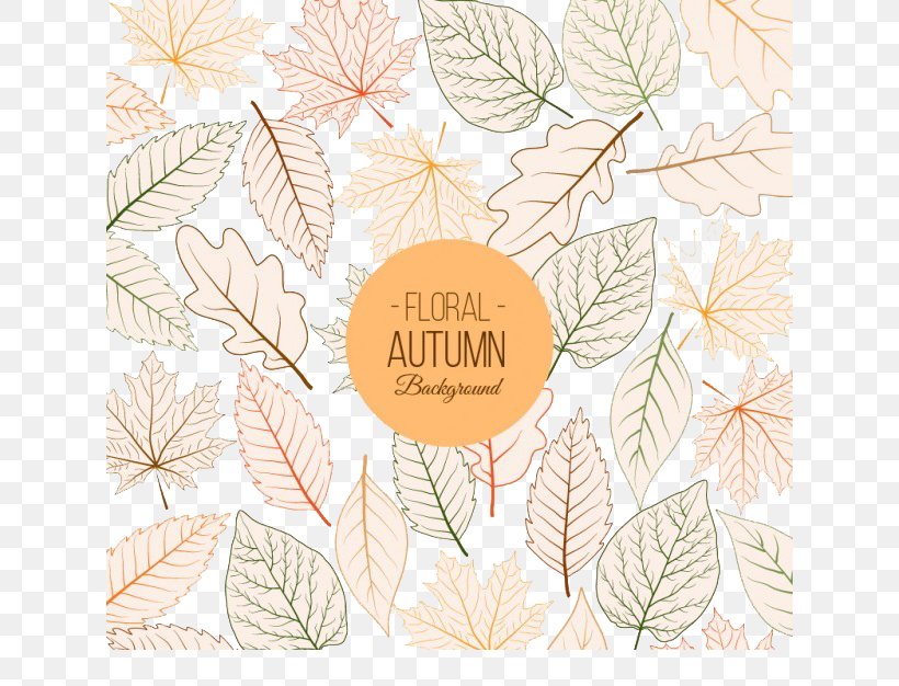 Autumn Leaf Pattern, PNG, 626x626px, Autumn, Deciduous, Flora, Floral Design, Flower Download Free
