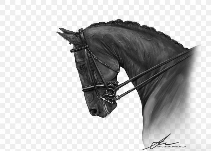 Halter Mustang Stallion Rein Bridle, PNG, 1024x734px, Halter, Black, Black And White, Black M, Bridle Download Free