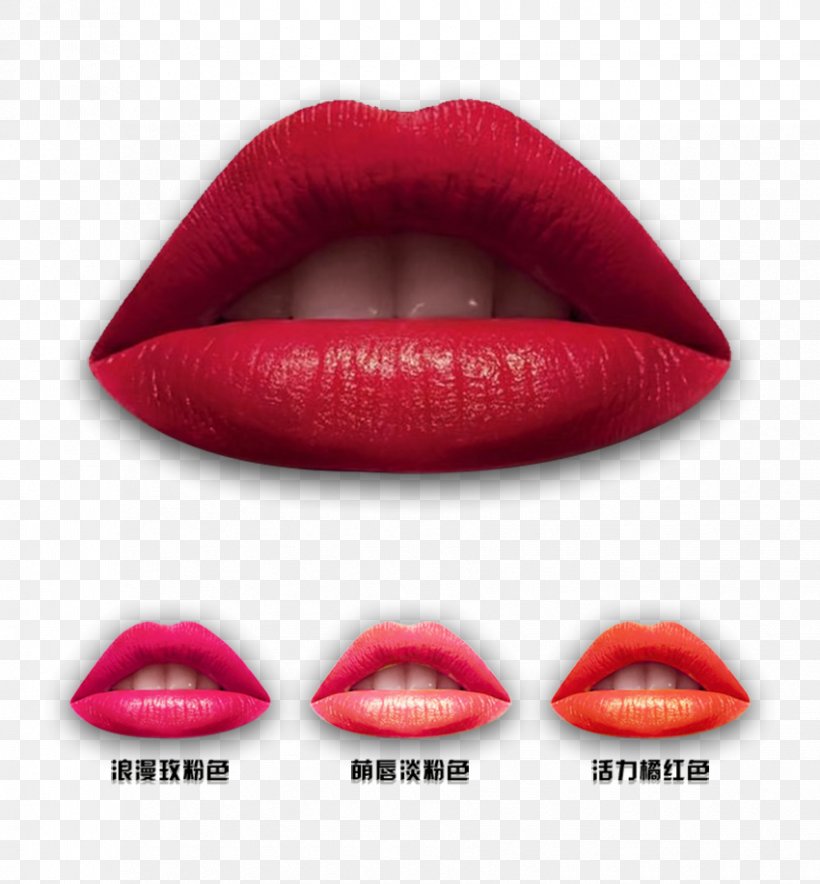Lipstick Lip Gloss Euclidean Vector, PNG, 850x917px, Lip, Beauty, Cosmetics, Lip Gloss, Lip Liner Download Free