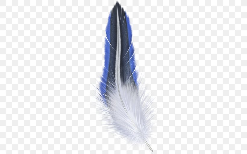 Bird Feather Photography, PNG, 512x512px, Bird, Blue, Feather, Pen, Photography Download Free