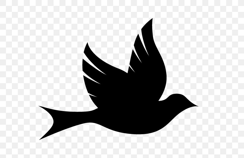 Bird Healing Health Logo, PNG, 752x532px, Bird, Beak, Black And White, Color, Food Download Free