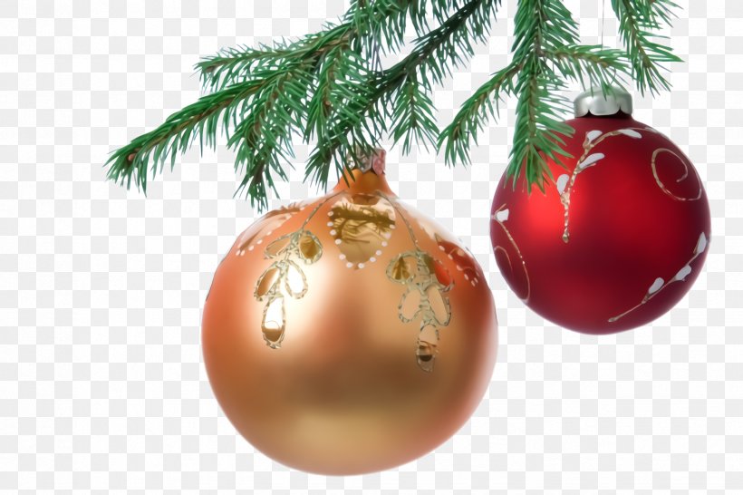 Christmas Ornament, PNG, 2448x1632px, Christmas Ornament, Branch, Christmas, Christmas Decoration, Christmas Tree Download Free