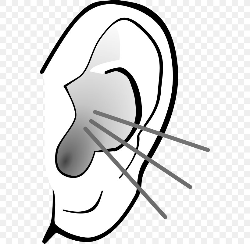 Ear Anatomy Pointy Ears Clip Art, PNG, 800x800px, Ear, Area, Artwork, Black And White, Blog Download Free