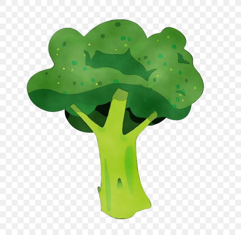 Green Leaf Symbol Plant Broccoli, PNG, 800x800px, Watercolor, Broccoli, Cruciferous Vegetables, Green, Leaf Download Free