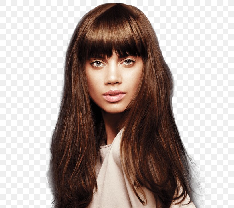 Human Hair Color Hair Coloring Brown Hair Hairstyle, PNG, 729x729px, Human Hair Color, Auburn Hair, Bangs, Beauty Parlour, Black Hair Download Free