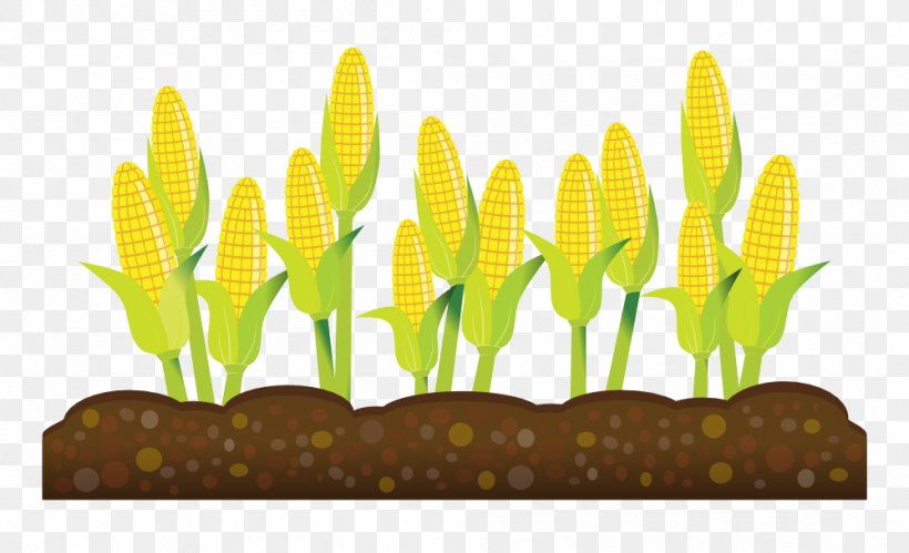 Intensive Crop Farming Agriculture Intensive Crop Farming Clip Art, PNG, 999x609px, Crop, Agriculture, Commodity, Farm, Farmer Download Free