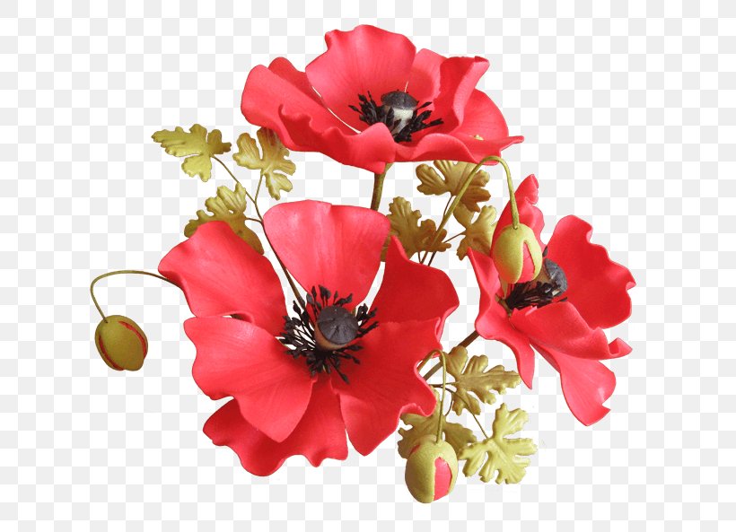Poppy Sugar Paste Flower Petal, PNG, 800x593px, Poppy, Anemone, Bud, Coquelicot, Cut Flowers Download Free