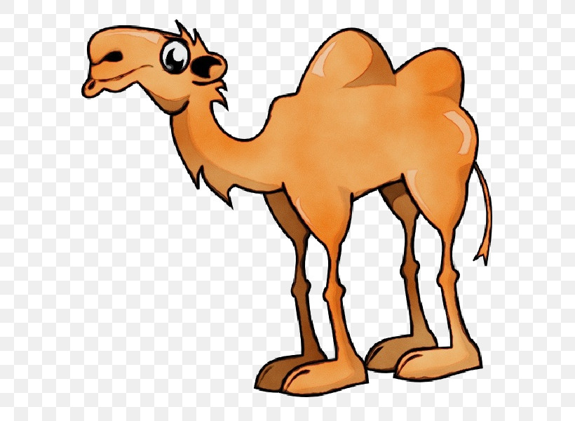 Bactrian Camel Cartoon Drawing Humour Silhouette, PNG, 600x600px, Watercolor, Bactrian Camel, Camels, Cartoon, Drawing Download Free