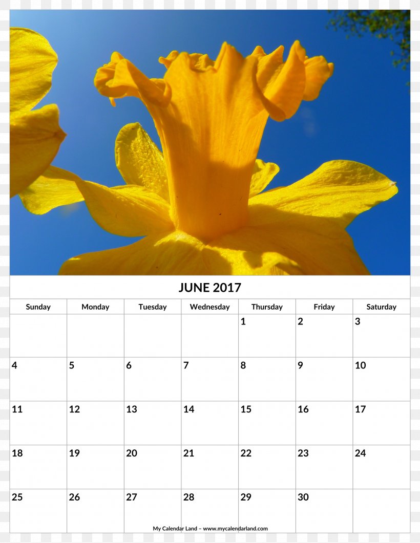 Calendar Bunch-flowered Daffodil Narcissus 0, PNG, 2550x3300px, 2018, Calendar, Birth Flower, Bulb, Bunchflowered Daffodil Download Free