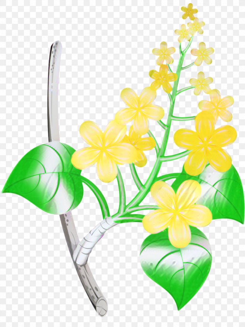 Floral Design Cut Flowers Moth Orchids, PNG, 897x1200px, Floral Design, Body Jewellery, Cut Flowers, Flower, Jewellery Download Free