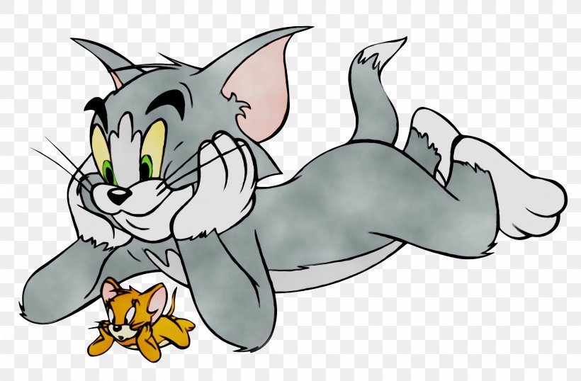 Tom Cat Jerry Mouse Nibbles Tom And Jerry Cartoon, PNG, 2565x1686px, Tom Cat, Animated Cartoon, Animated Series, Animation, Canidae Download Free