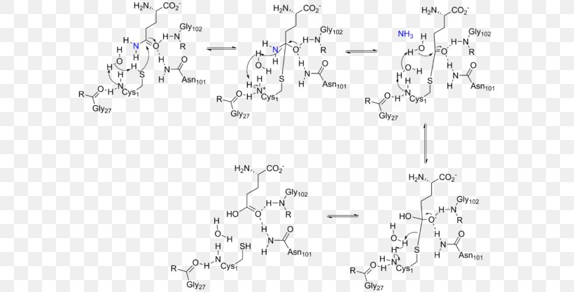 Amidophosphoribosyltransferase Glutamine Amidotransferase Phosphoribosyl Pyrophosphate Glutaminase Enzyme, PNG, 600x417px, Amidophosphoribosyltransferase, Active Site, Adenosine Triphosphate, Area, Auto Part Download Free