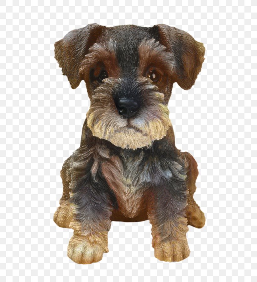 Dog Cartoon, PNG, 659x900px, Miniature Schnauzer, Beagle, Chihuahua, Companion Dog, Dog Download Free