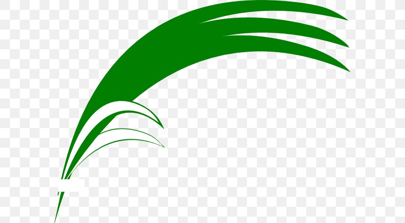 Logo Leaf Brand Font, PNG, 600x453px, Logo, Brand, Grass, Green, Leaf Download Free