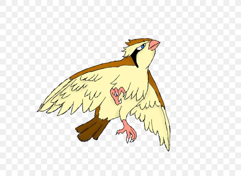 Pidgeotto Bird Pidgey Pokémon GO, PNG, 600x600px, Pidgeot, Art, Artwork, Beak, Bird Download Free