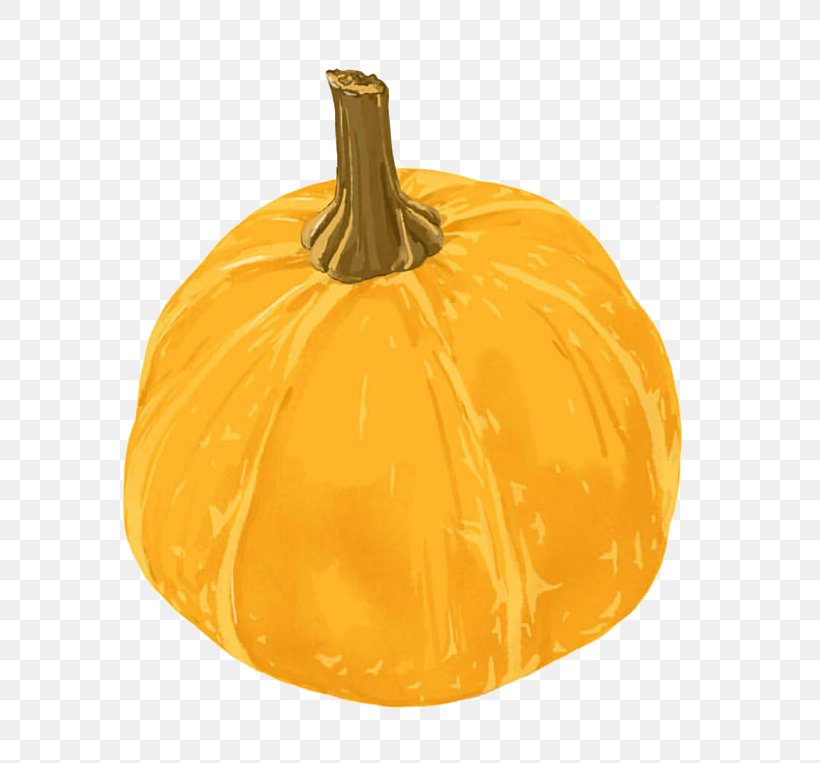 Pumpkin Halloween Kabocha, PNG, 801x763px, Pumpkin, Calabaza, Commodity, Cucurbita, Cucurbita Maxima Download Free