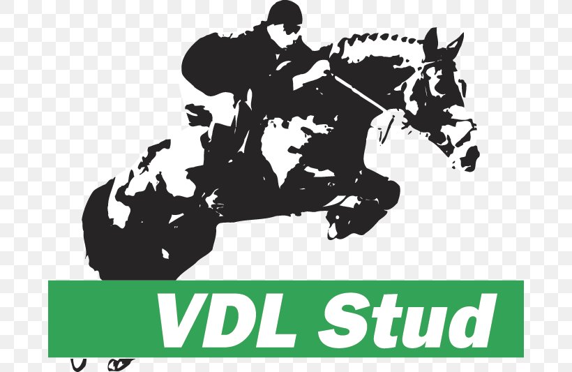 VDL Stud Horse Leeuwarden VDL Groep Bearsterdyk, PNG, 682x533px, Horse, Black, Black And White, Brand, Bridle Download Free