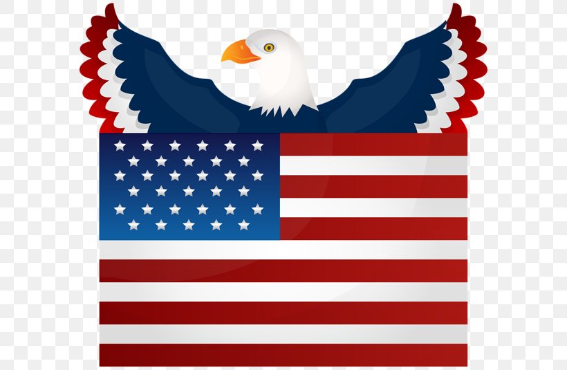 Flag Of The United States Bald Eagle National Flag, PNG, 600x535px, Flag Of The United States, Area, Bald Eagle, Beak, Flag Download Free
