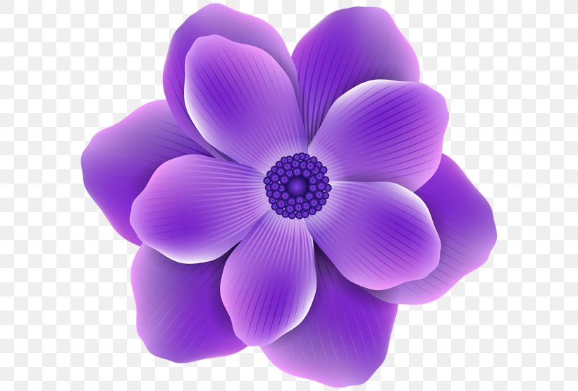 Flower Purple Rose Clip Art, PNG, 600x554px, Flower, Color, Cut Flowers, Flowering Plant, Green Download Free