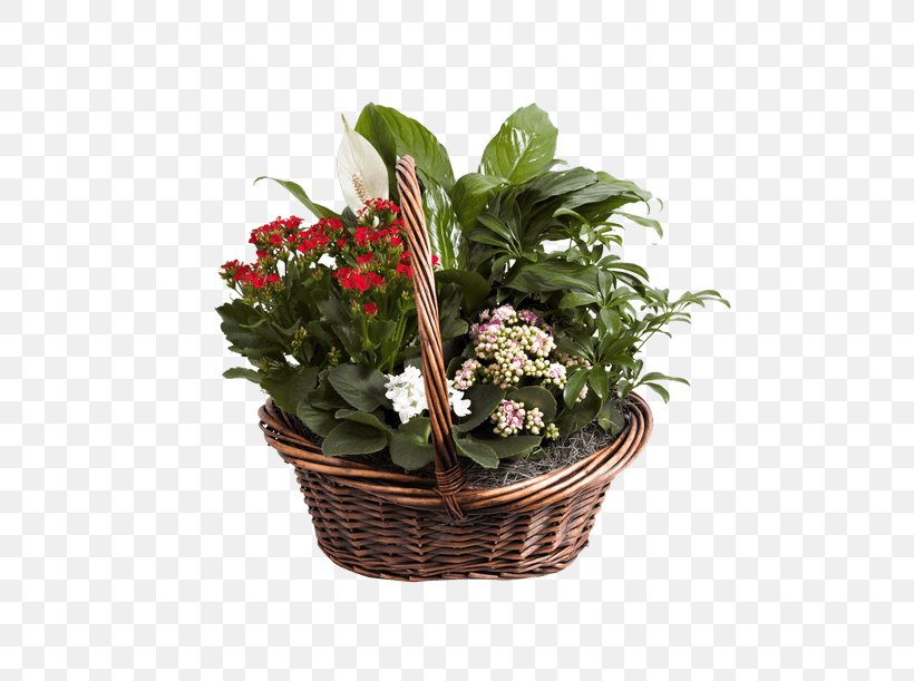 Food Gift Baskets Floral Design Cut Flowers, PNG, 500x611px, Food Gift Baskets, Annual Plant, Basket, Connells Maple Lee Flowers Gifts, Cut Flowers Download Free