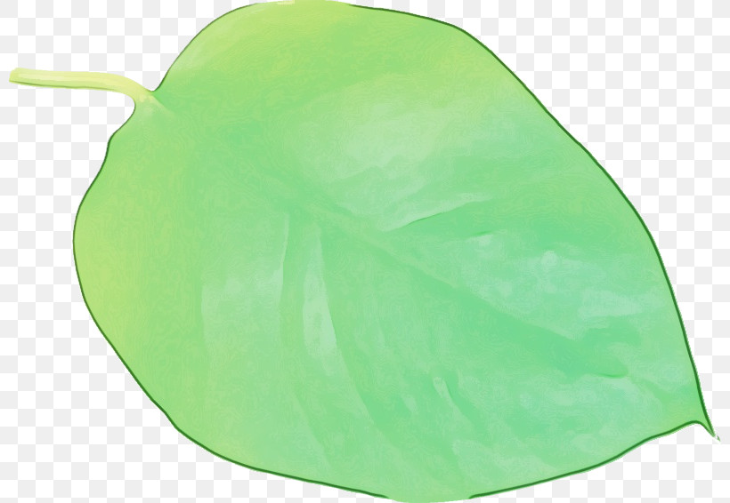 Leaf Green Plastic Plants Biology, PNG, 800x566px, Watercolor, Biology, Green, Leaf, Paint Download Free