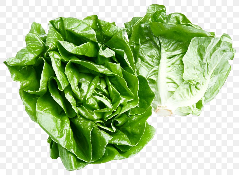 Leaf Vegetable Vegetable Food Leaf Plant, PNG, 800x600px, Leaf Vegetable, Choy Sum, Flower, Food, Iceburg Lettuce Download Free