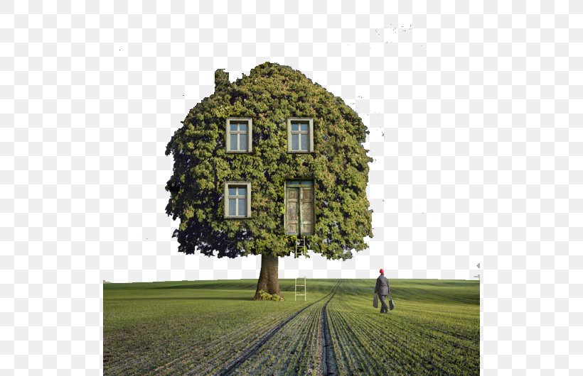 Tree House Surrealism Photography, PNG, 530x530px, Tree House, Art, Backyard, Building, Child Download Free