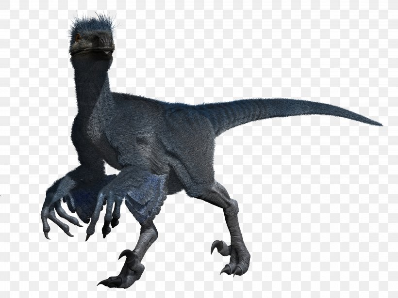Velociraptor Tyrannosaurus Extinction Terrestrial Animal, PNG, 4480x3360px, Velociraptor, Animal, Animal Figure, Dinosaur, Extinction Download Free