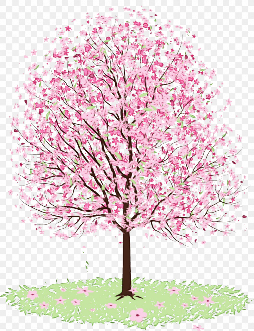Cherry Blossom, PNG, 990x1289px, Watercolor, Blossom, Branch, Cherry Blossom, Flower Download Free