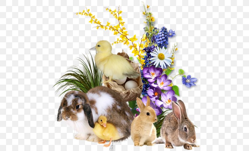 Easter Bunny Dog Domestic Rabbit, PNG, 500x500px, Easter, Animal, Baby Ducks, Beak, Bird Download Free