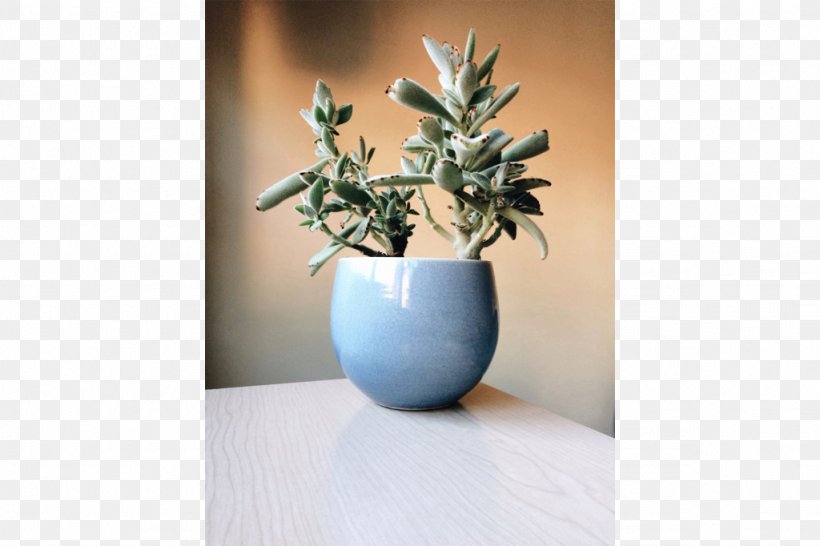 Ceramic Vase Still Life Photography, PNG, 1024x682px, Ceramic, Flowerpot, Photography, Plant, Still Life Download Free