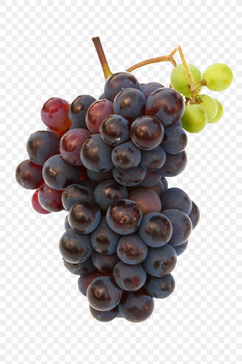 Grape Fruit Image Resolution, PNG, 2048x3072px, Grape, Display Resolution, Food, Fruit, Grape Leaves Download Free