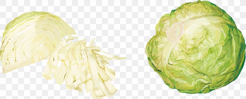 Red Cabbage Cauliflower Vegetable, PNG, 3046x1226px, Cabbage, Brassica Oleracea, Cauliflower, Cruciferous Vegetables, Food Download Free