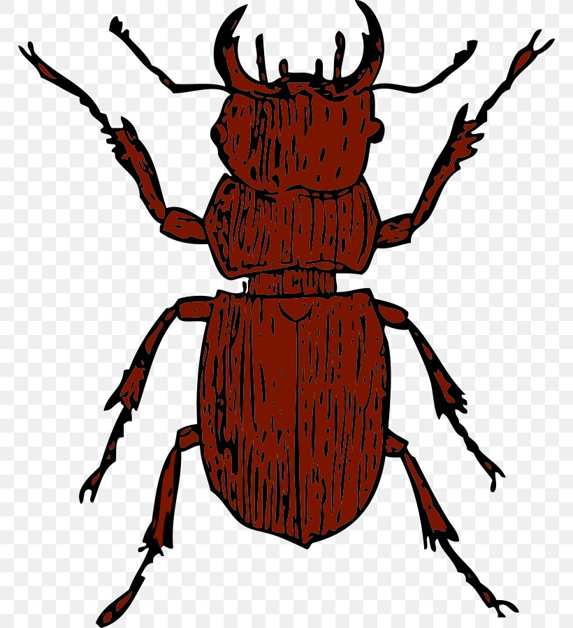 Stag Beetle Deer Clip Art, PNG, 768x900px, Beetle, Arthropod, Artwork, Cardinal Beetle, Deer Download Free