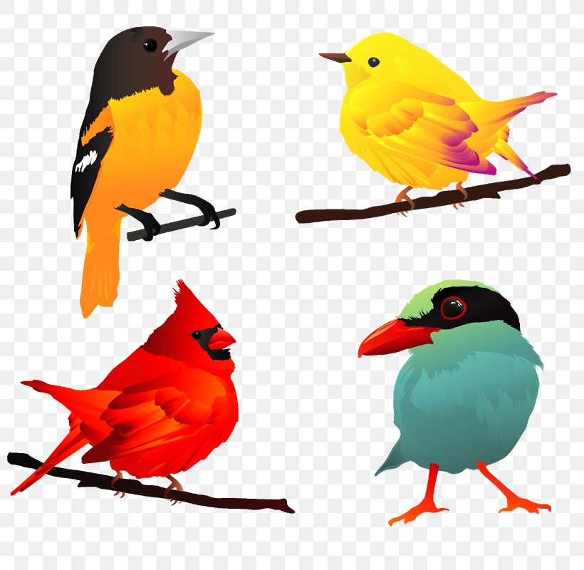 Bird European Robin Clip Art, PNG, 800x800px, Bird, Beak, Bird Nest, Cartoon, European Robin Download Free