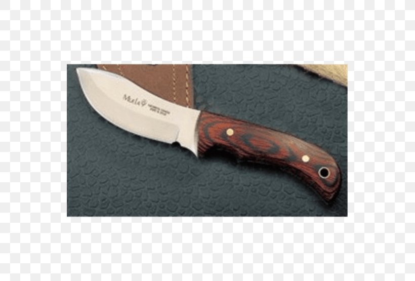 Bowie Knife Hunting & Survival Knives Utility Knives Serrated Blade, PNG, 555x555px, Bowie Knife, Blade, Cold Weapon, Combat Knife, Handle Download Free