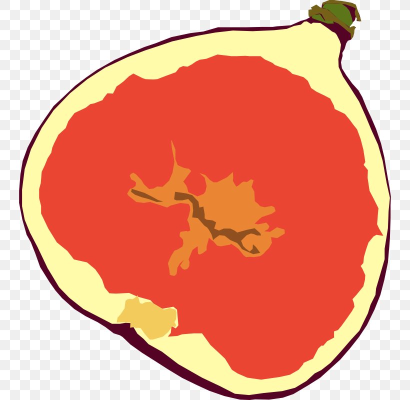 Mission Fig Drawing Fruit Tree Clip Art, PNG, 744x800px, Mission Fig, Area, Artwork, Cartoon, Common Fig Download Free