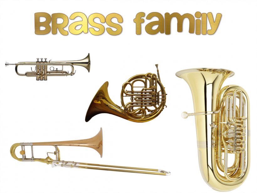 Brass Instruments Musical Instruments Family String Instruments Woodwind Instrument, PNG, 1100x825px, Brass Instruments, Alto Horn, Baritone Horn, Baritone Saxophone, Brass Download Free