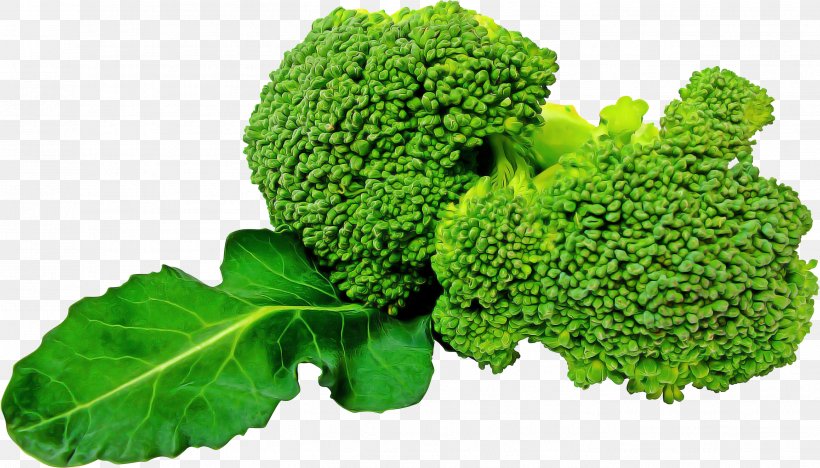 Broccoli Cruciferous Vegetables Leaf Vegetable Plant Vegetable, PNG, 2704x1544px, Broccoli, Cruciferous Vegetables, Flower, Food, Grass Download Free