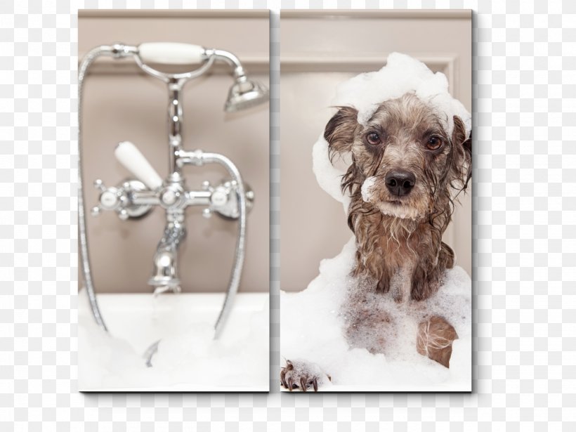 Dog Grooming Pet Bathtub Cat, PNG, 1400x1050px, Dog, Bathing, Bathroom, Bathtub, Carnivoran Download Free