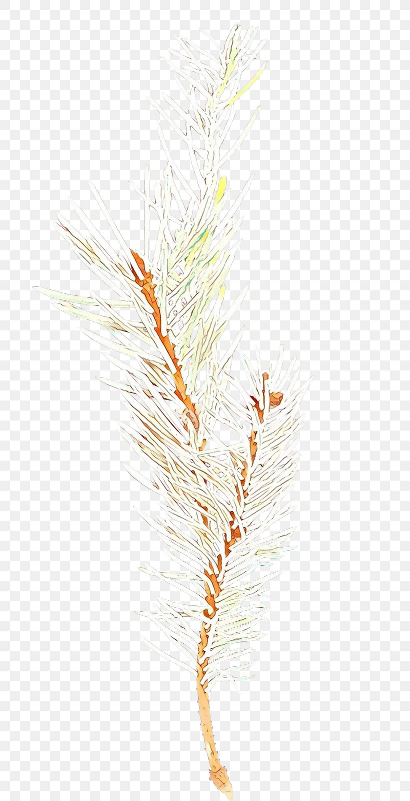 Family Tree Background, PNG, 691x1600px, Grasses, American Larch, Branch, Commodity, Feather Download Free