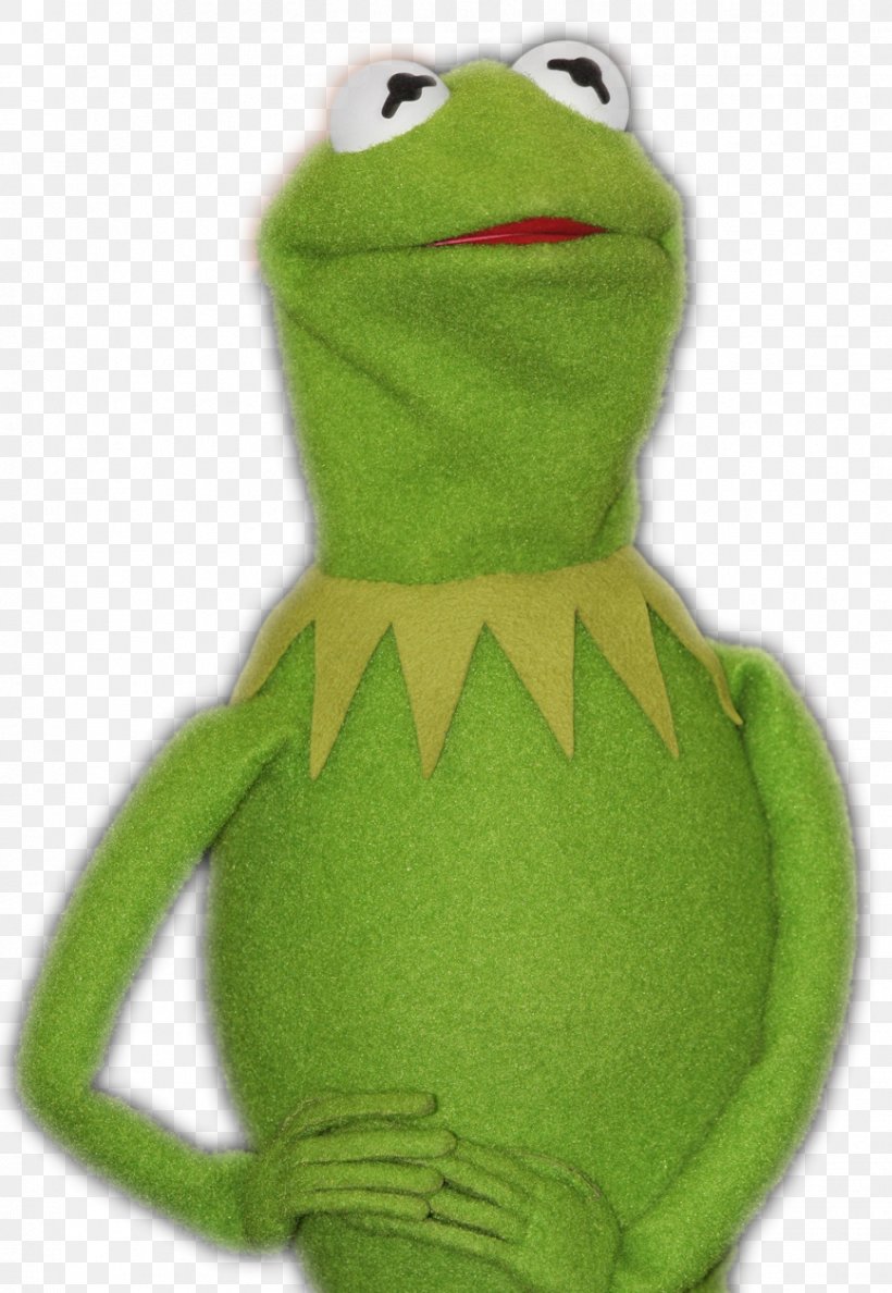 Kermit The Frog The Muppets True Frog, PNG, 867x1257px, Kermit The Frog, Amphibian, Bein Green, Blog, Dat Boi Download Free