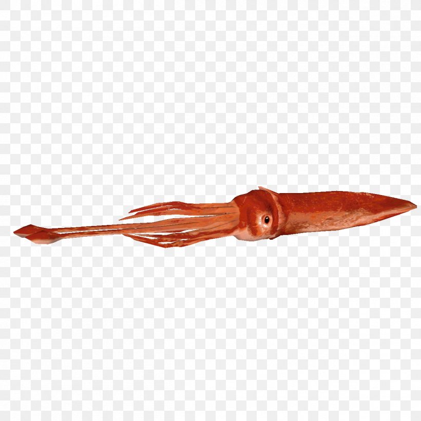 Colossal Squid Giant Squid Invertebrate, PNG, 1254x1254px, Squid, Animal Source Foods, Cephalopod, Colossal Squid, Computer Software Download Free