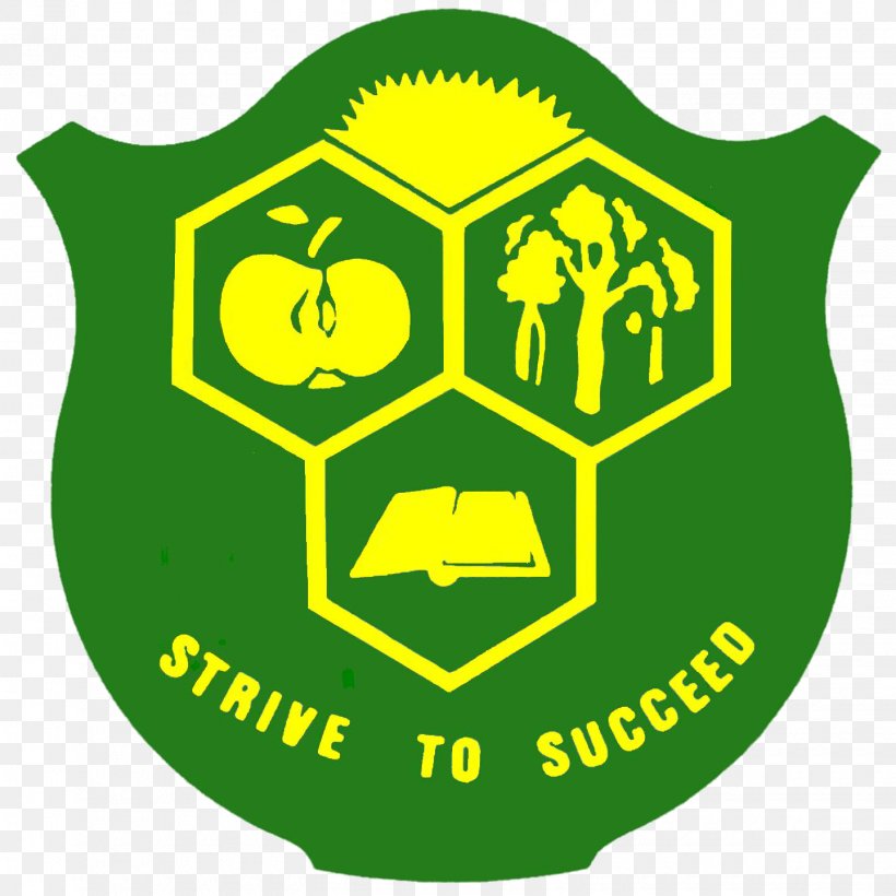 East Manjimup Primary School Education Student Elementary School, PNG, 1440x1440px, School, Area, Brand, Classroom, Education Download Free