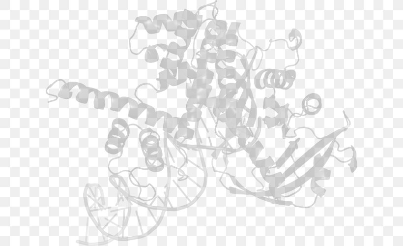 Line Art Drawing, PNG, 634x500px, Line Art, Artwork, Black, Black And White, Drawing Download Free