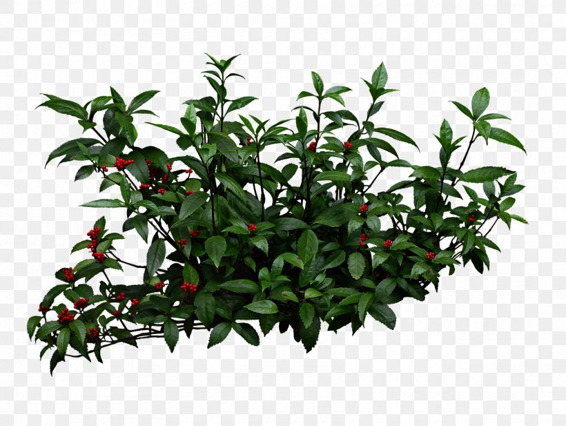 Shrub Garden Pixel Clip Art, PNG, 1720x1296px, Shrub, Branch, Dots Per Inch, Evergreen, Flowering Plant Download Free