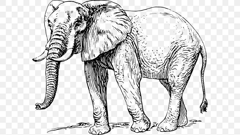 African Elephant Elephantidae Drawing Clip Art, PNG, 600x462px, African Elephant, Animal Figure, Art, Big Cats, Black And White Download Free